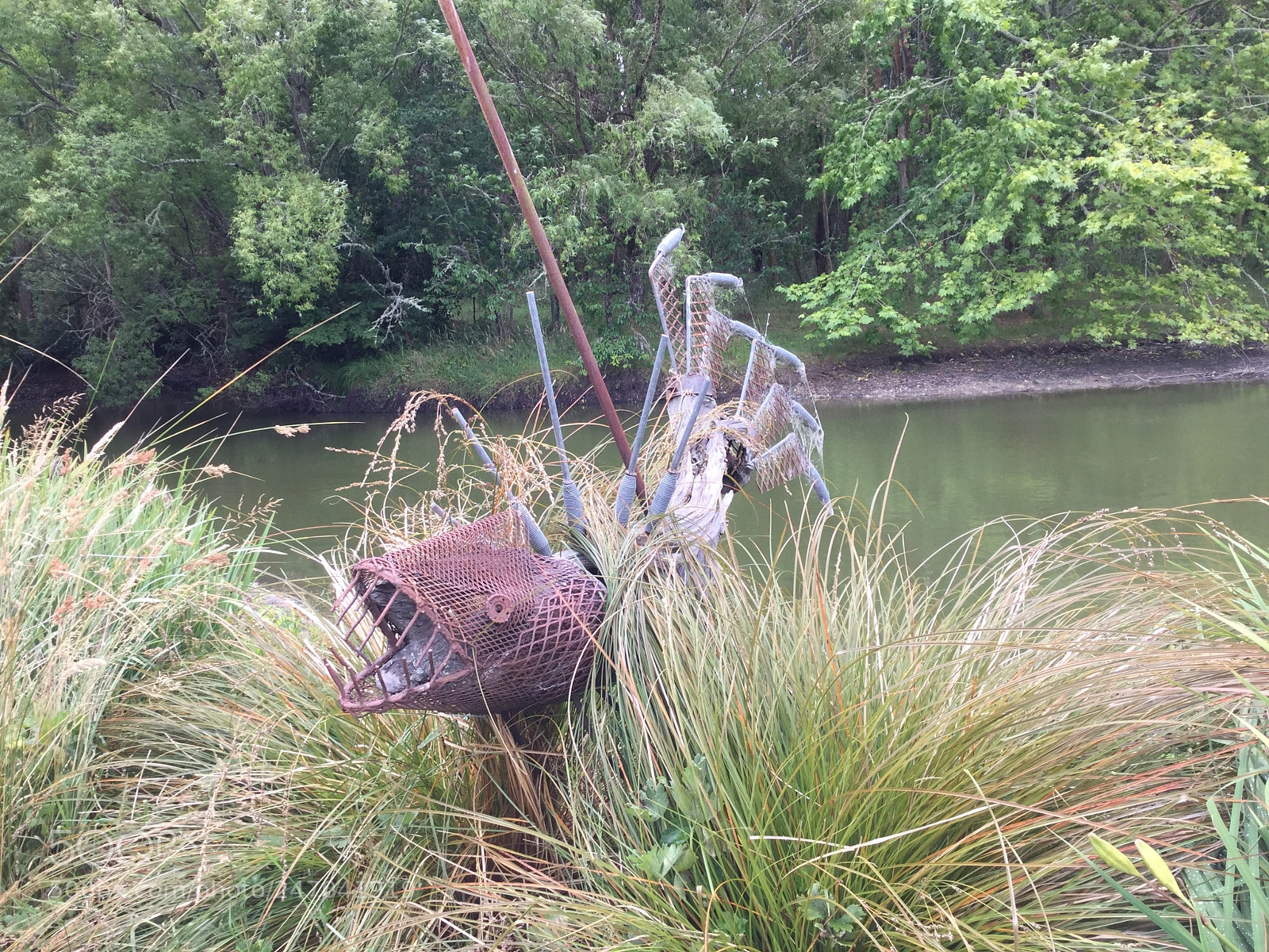 Apple iPad Air 2 sample photo. Fish out of water photography