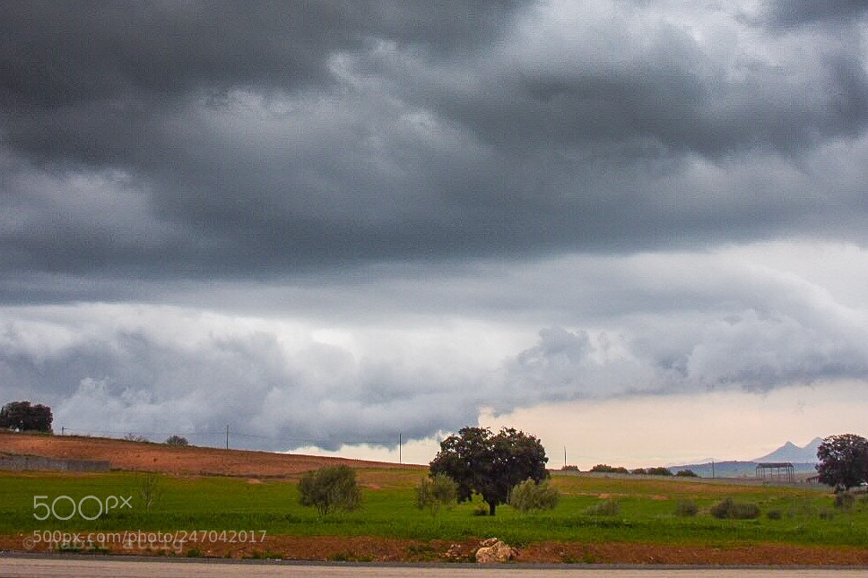 Nikon D7200 sample photo. Untitled photography