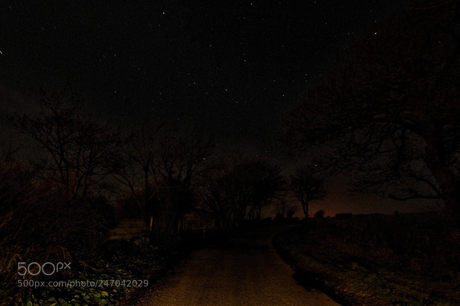 Nikon D3400 sample photo. Welsh nights photography