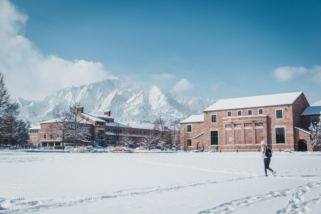Canon EOS 60D sample photo. Farrand field photography