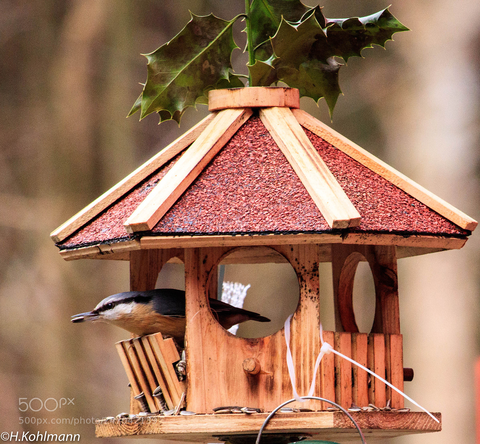 Canon EOS 80D sample photo. Vogelhaus photography