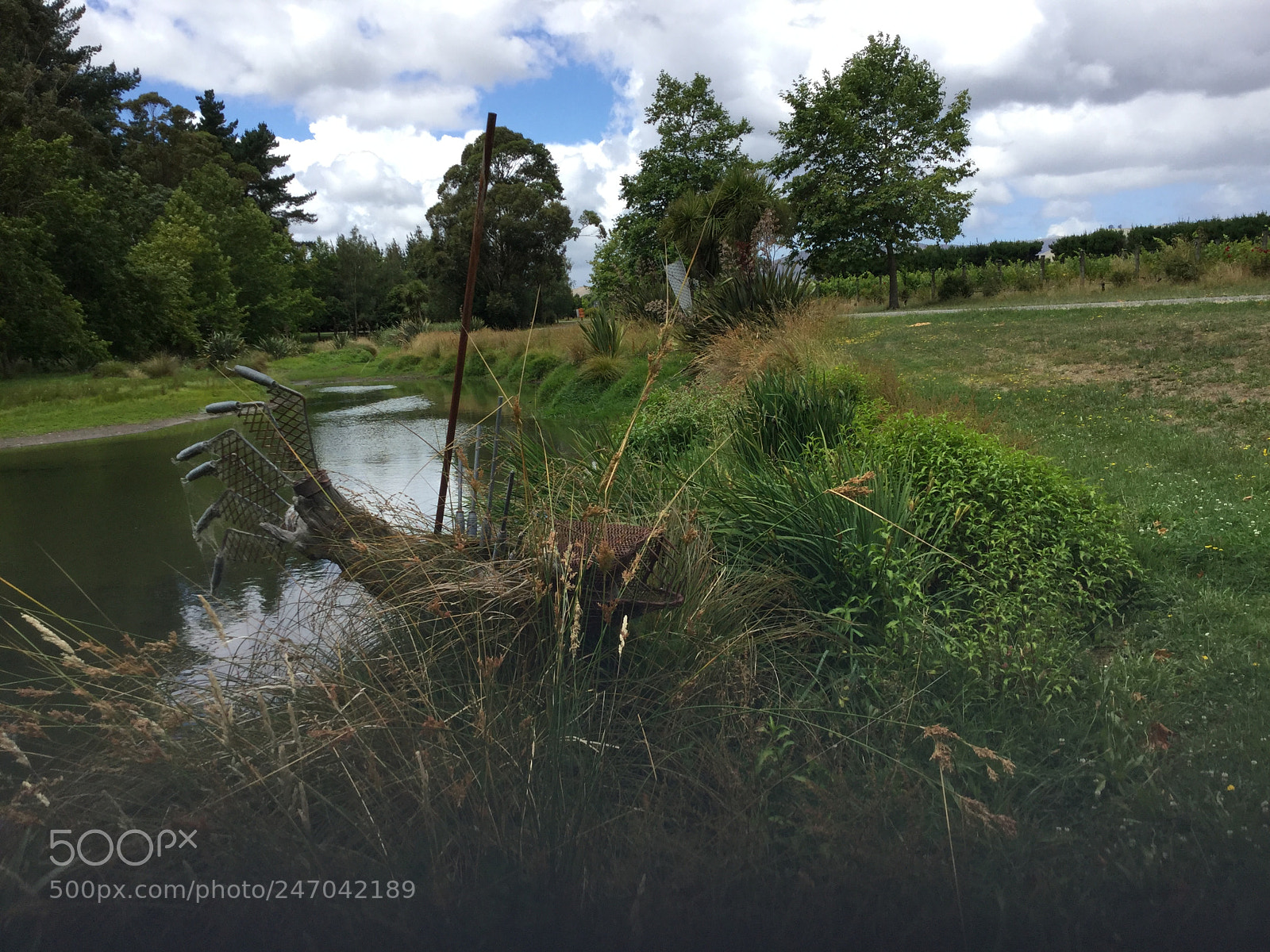 Apple iPad Air 2 sample photo. Sculptured fish out of photography