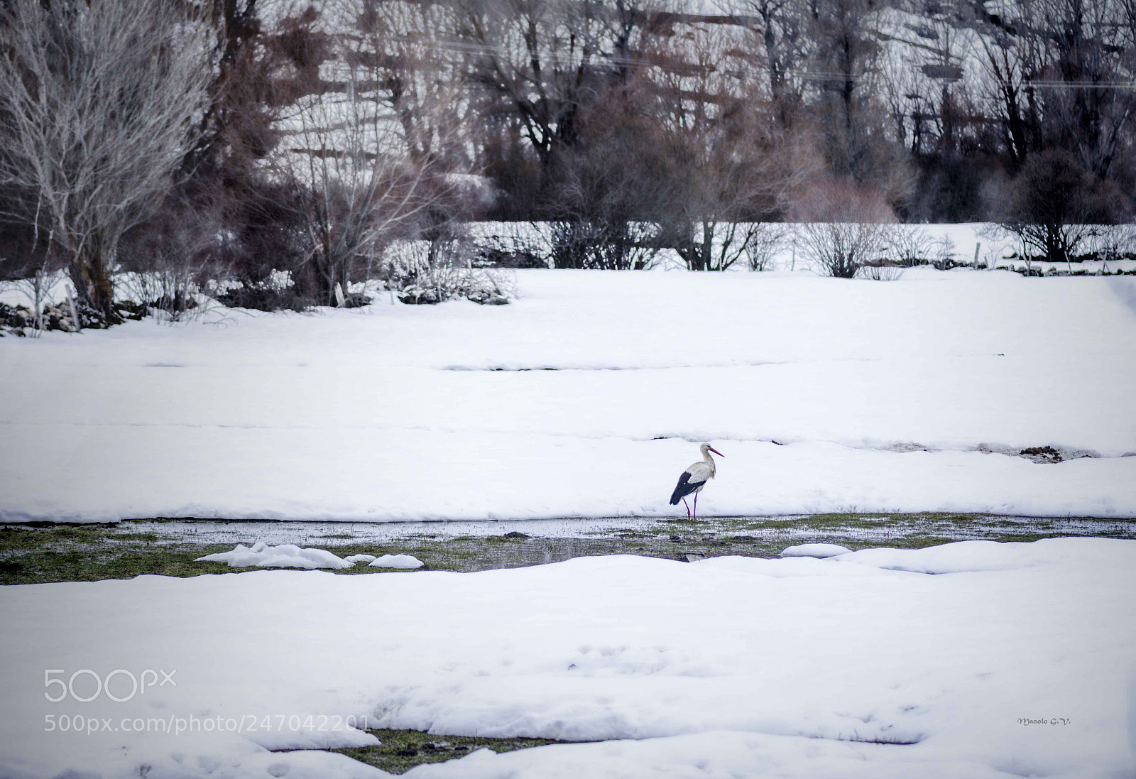 Nikon D7200 sample photo. Cig e a en photography