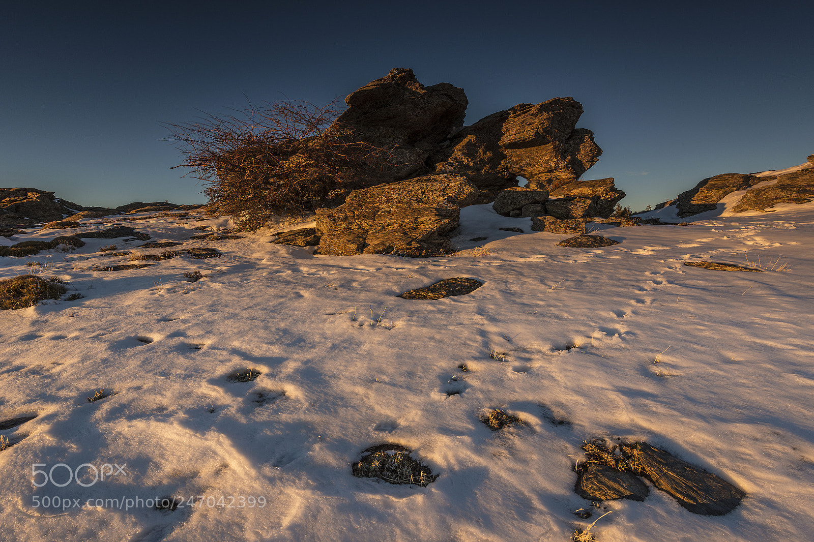 Nikon D800 sample photo. Stones in the snow photography