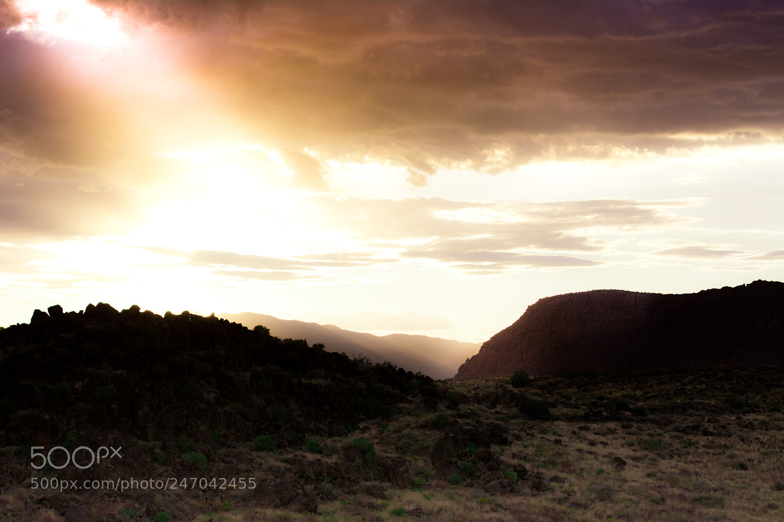 Nikon D7100 sample photo. Dark sunlight photography