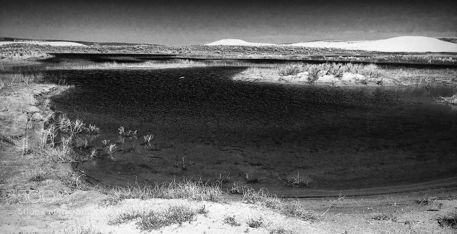Apple iPad sample photo. Desert wetlands las dunas photography