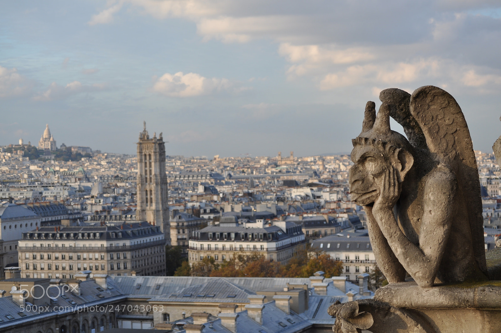 Nikon D5000 sample photo. Notre-dame, paris photography