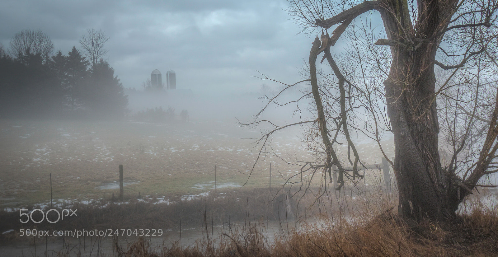 Canon EOS 600D (Rebel EOS T3i / EOS Kiss X5) sample photo. Ontario,fog photography