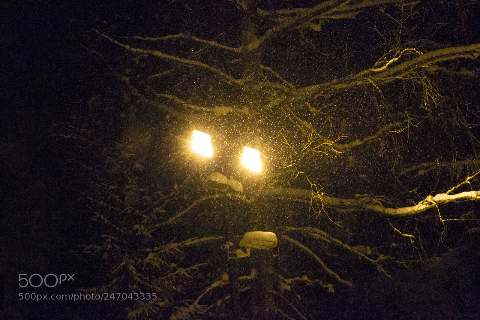 Nikon D3100 sample photo. фонарь света photography