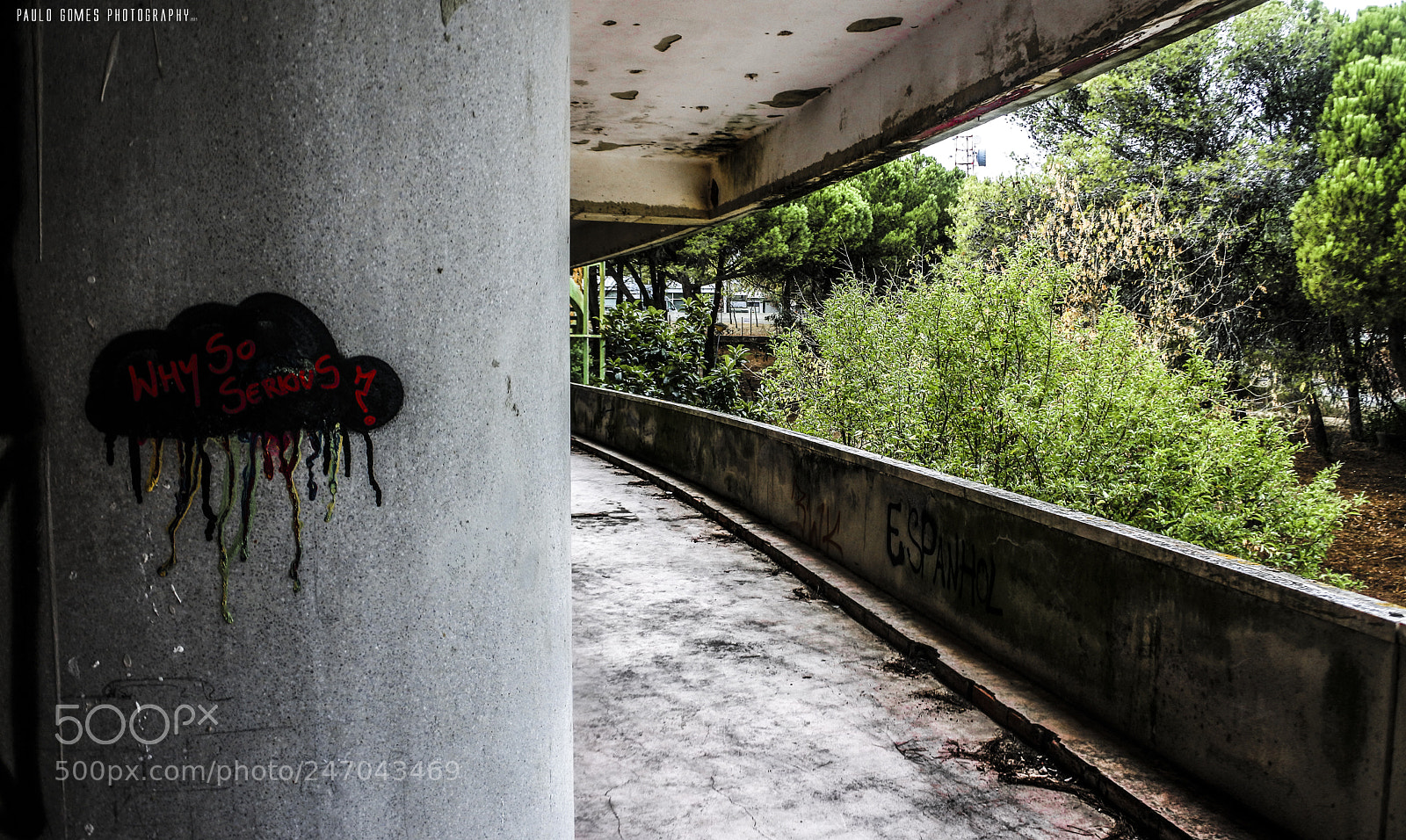 Nikon 1 J5 sample photo. Chuva aben oada blessed photography
