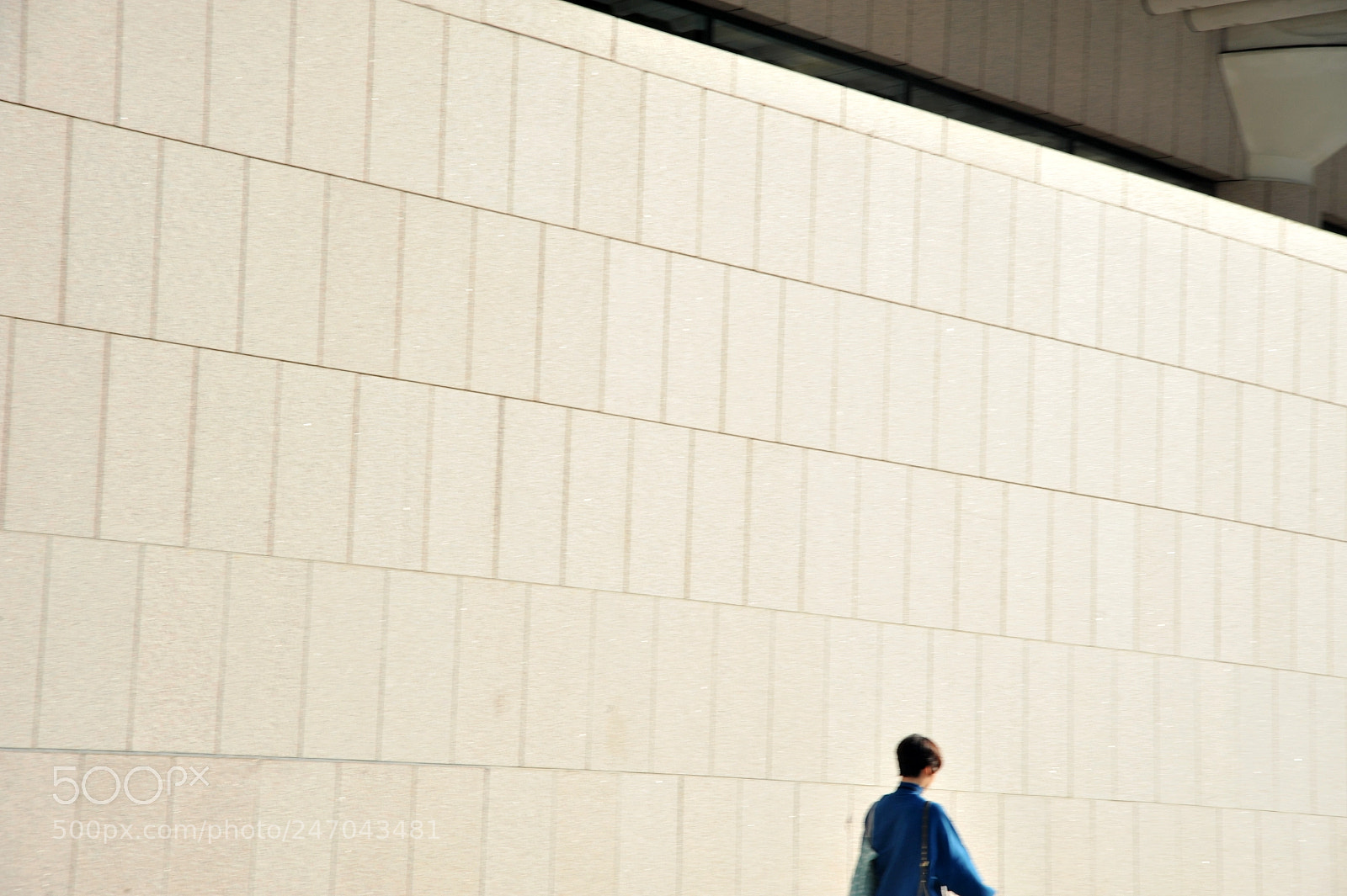 Nikon D700 sample photo. Untitled photography