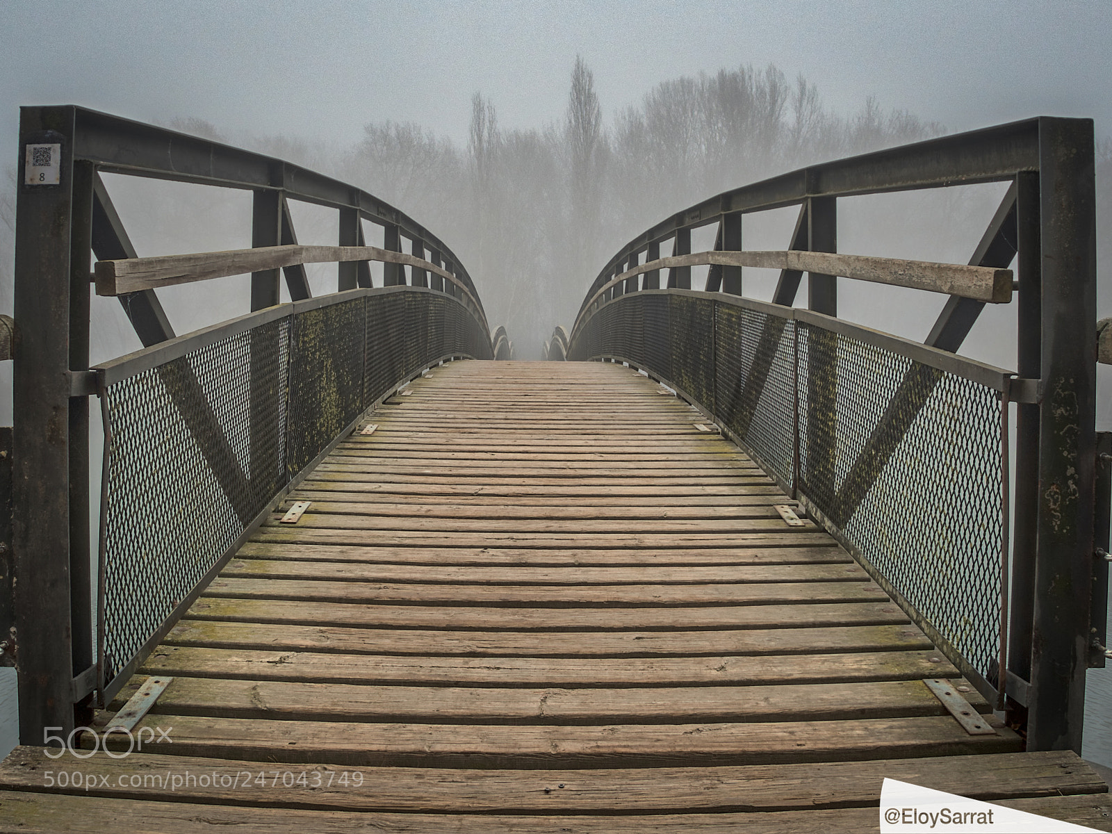 Olympus OM-D E-M5 II sample photo. Beauty of fog in photography