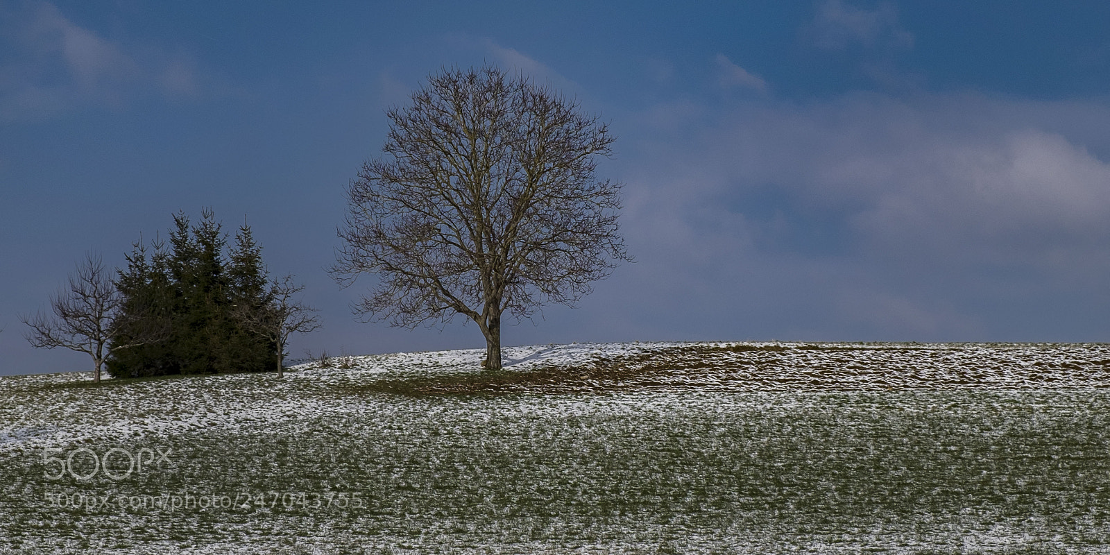 Fujifilm X-T1 sample photo. Landschaften 220218-005 photography