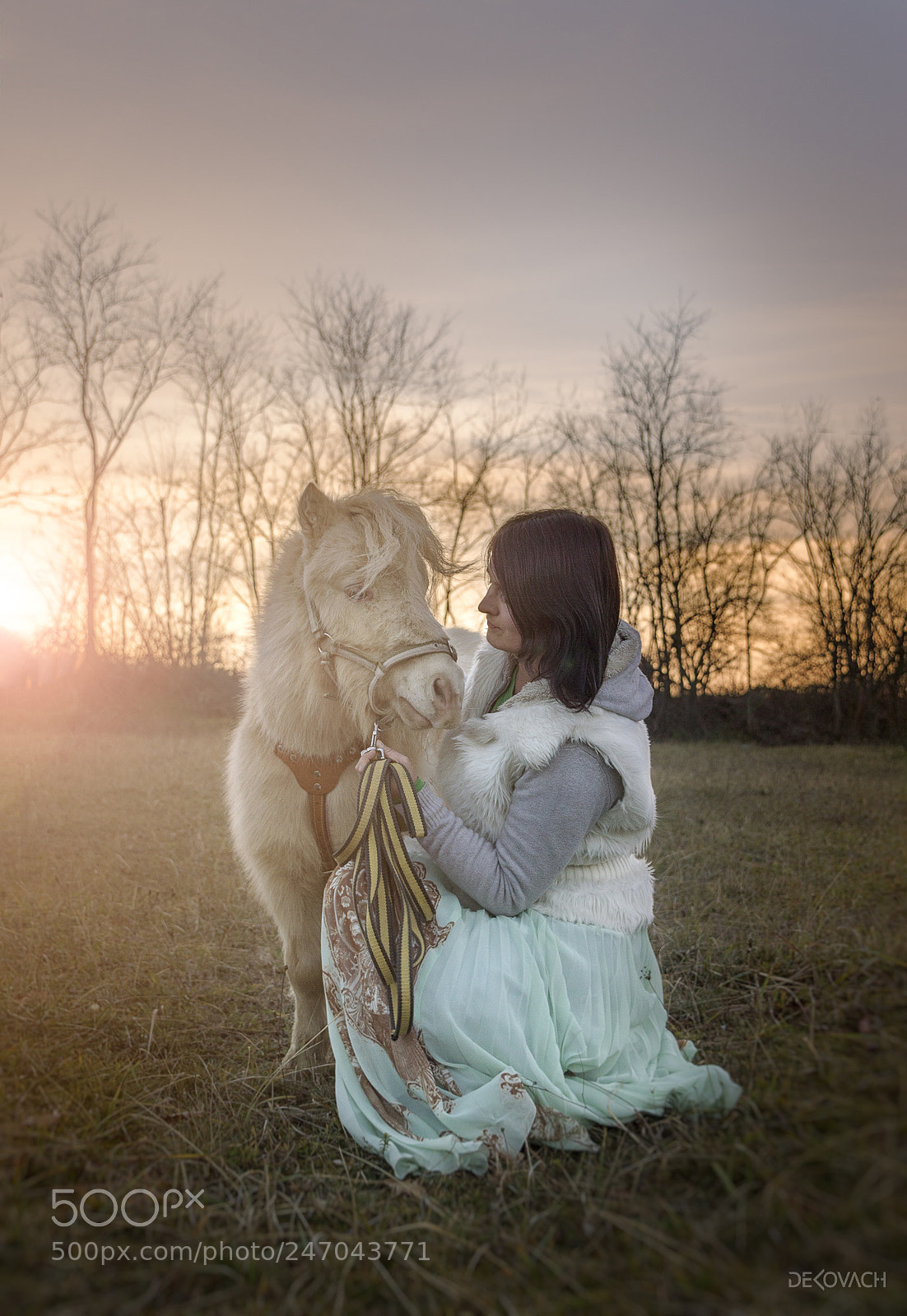 Nikon D3200 sample photo. Olga & pony photography