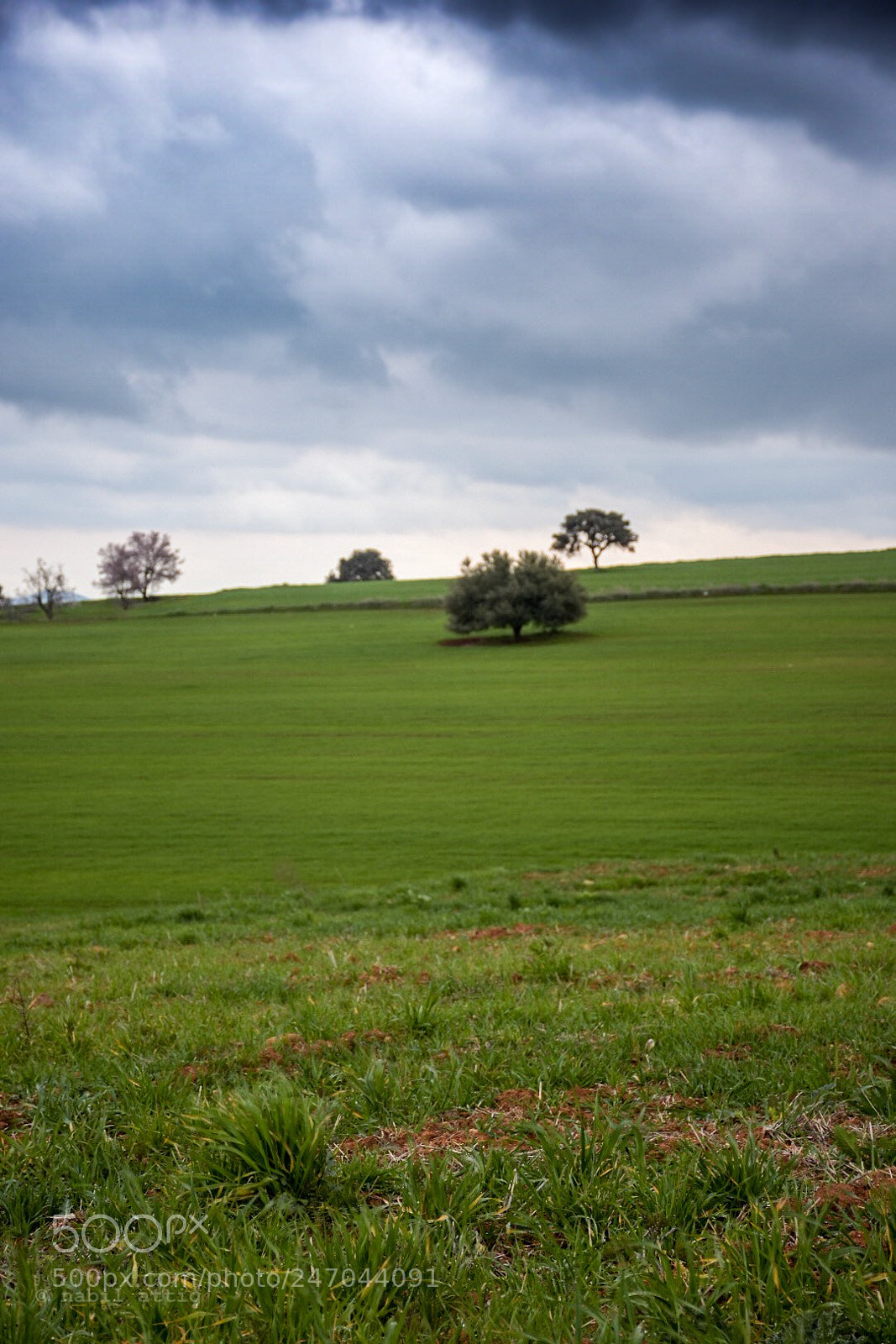 Nikon D7200 sample photo. Untitled photography