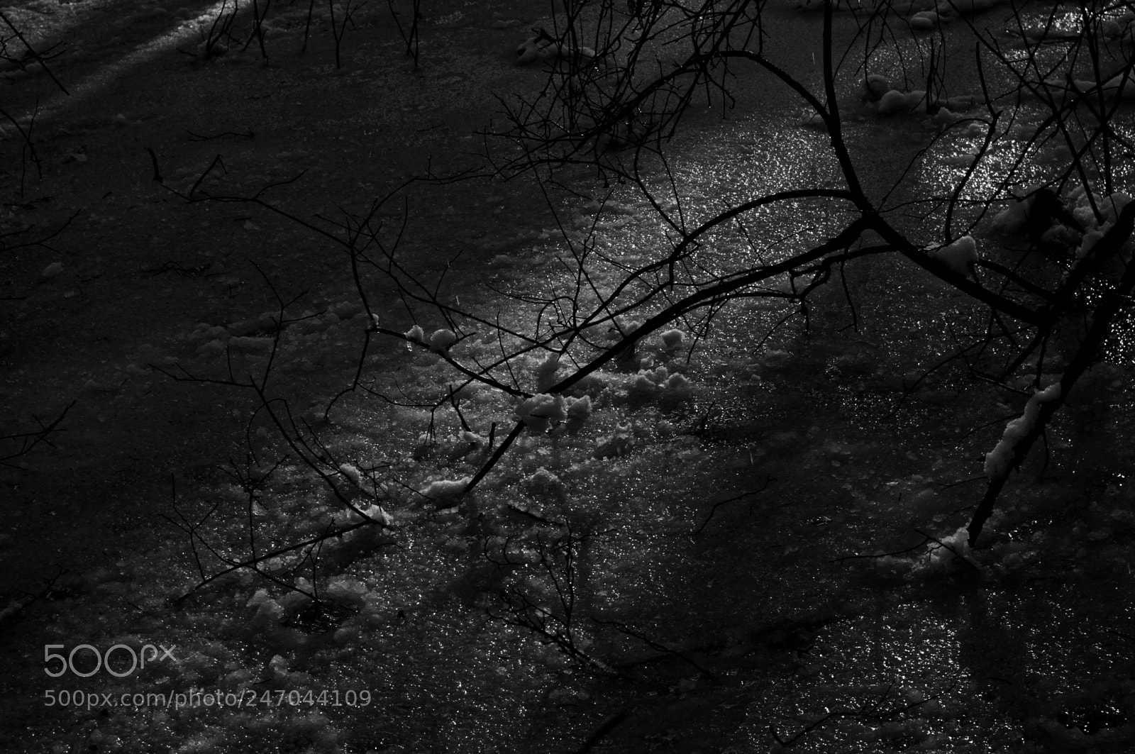 Pentax K-r sample photo. Marshland mystery photography