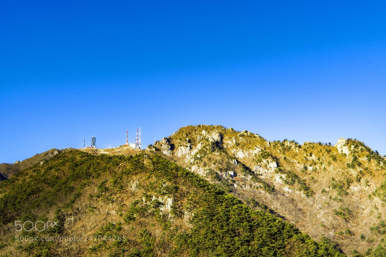 Nikon D810 sample photo. Look photography