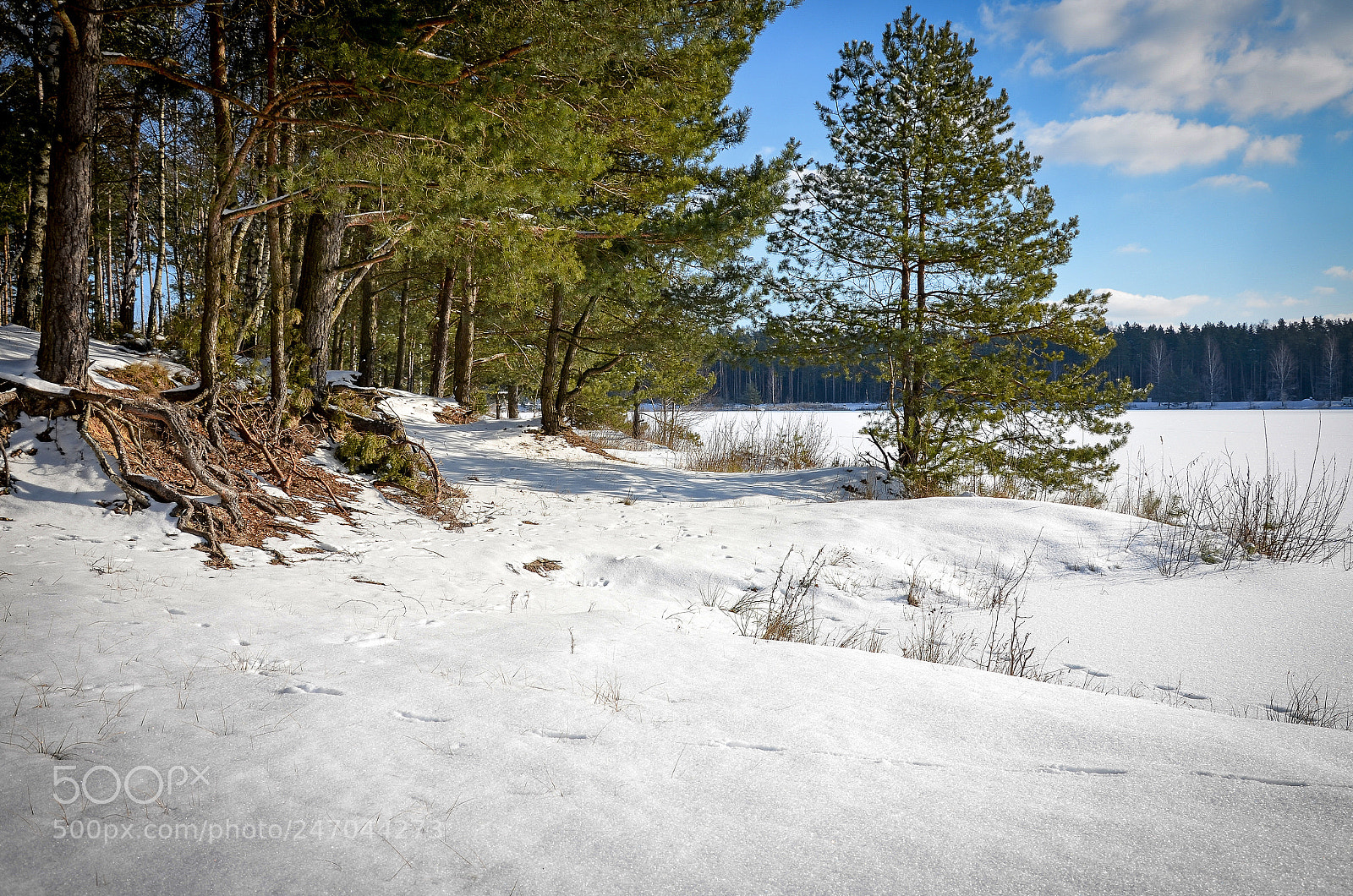Nikon D5100 sample photo. Sunny and cold photography