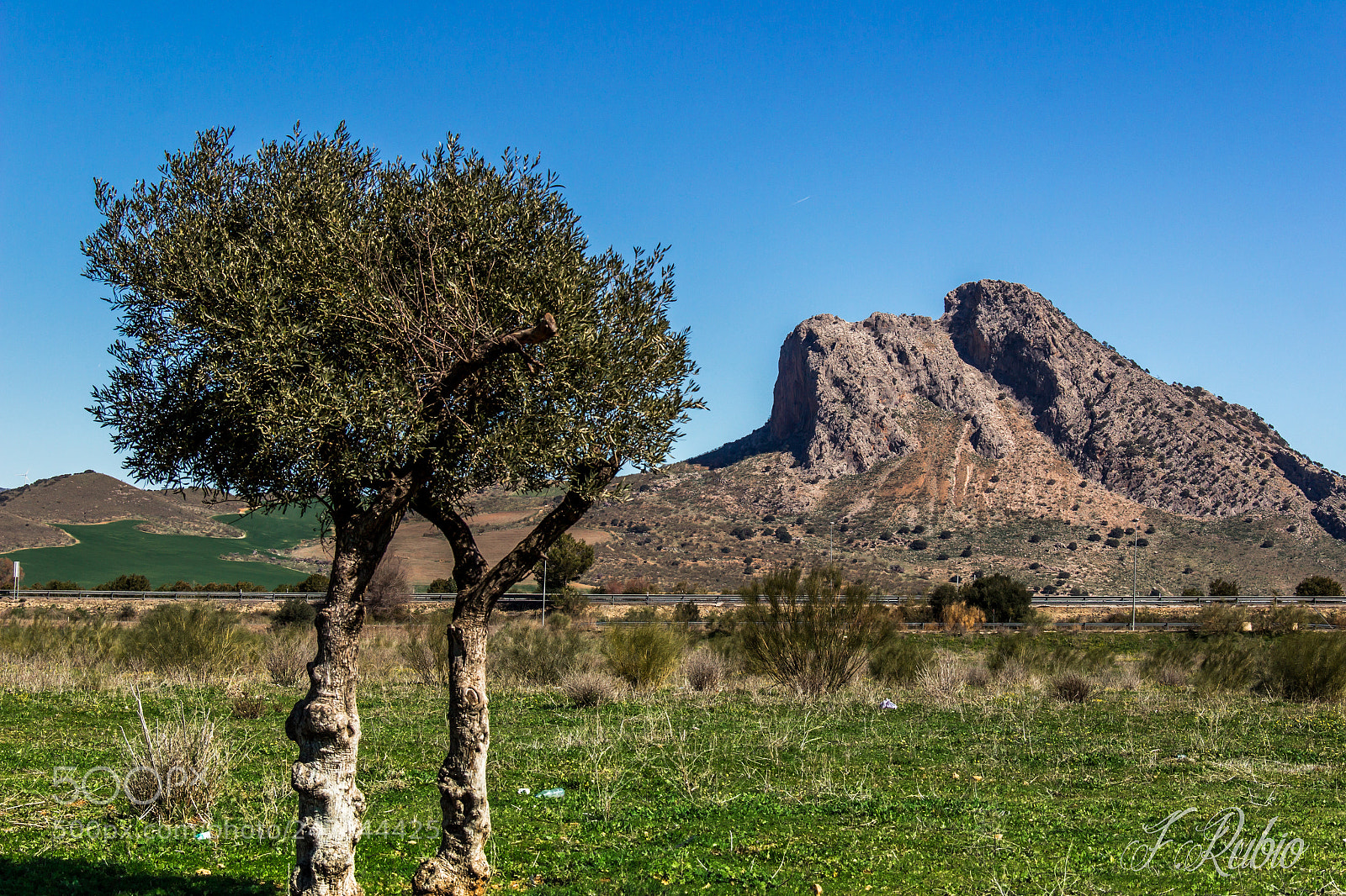Canon EOS 600D (Rebel EOS T3i / EOS Kiss X5) sample photo. Contraste de color photography