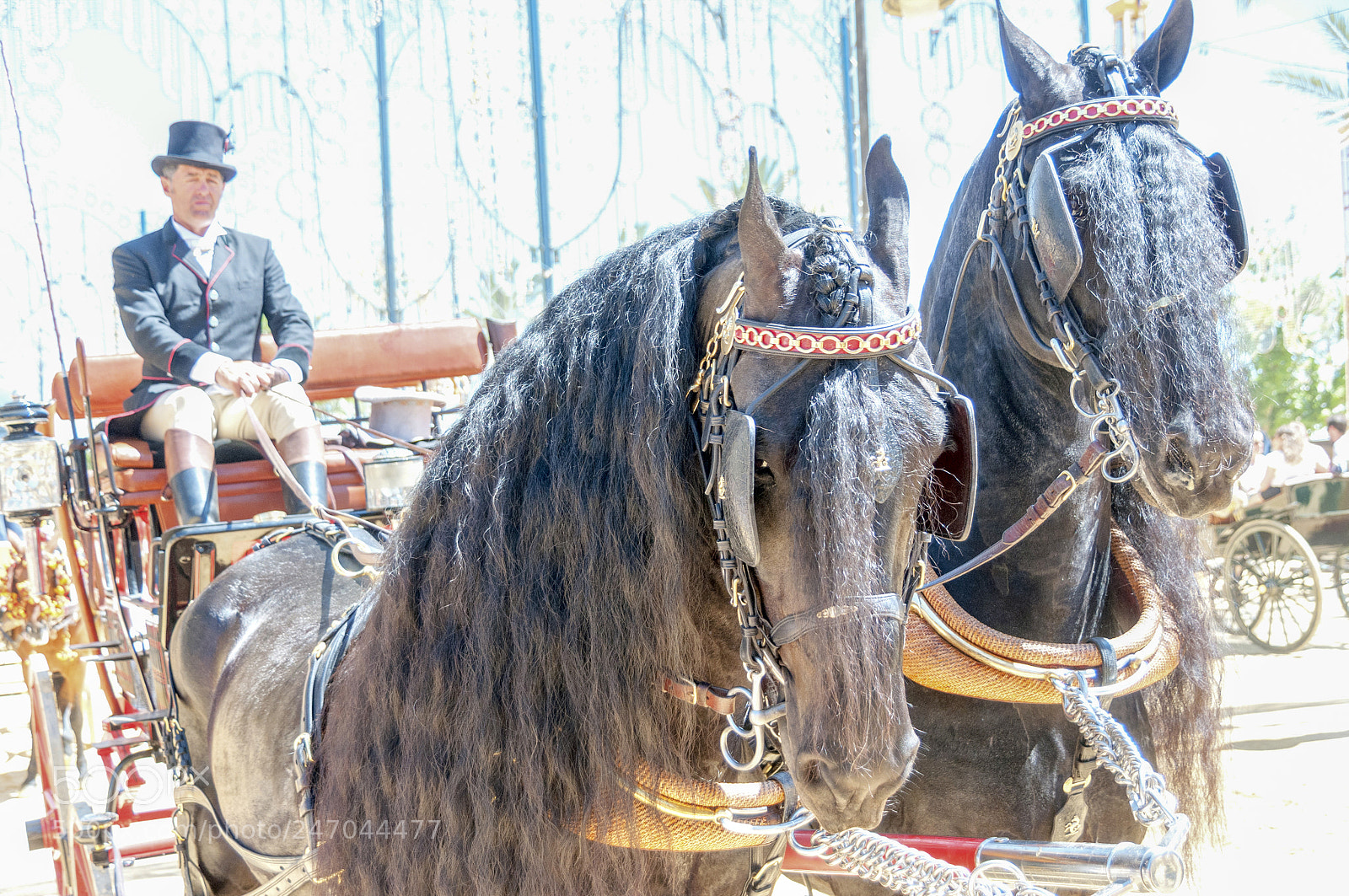 Nikon D300S sample photo. Feria de jerez photography