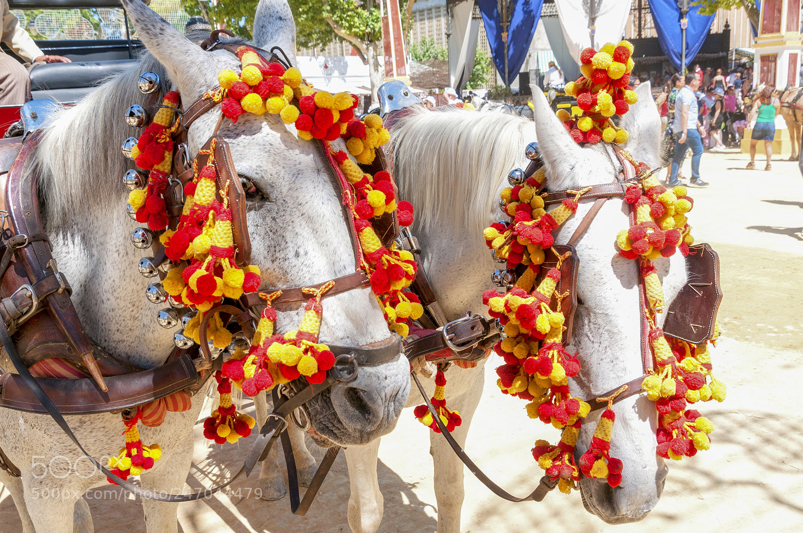Nikon D300S sample photo. Feria de jerez photography