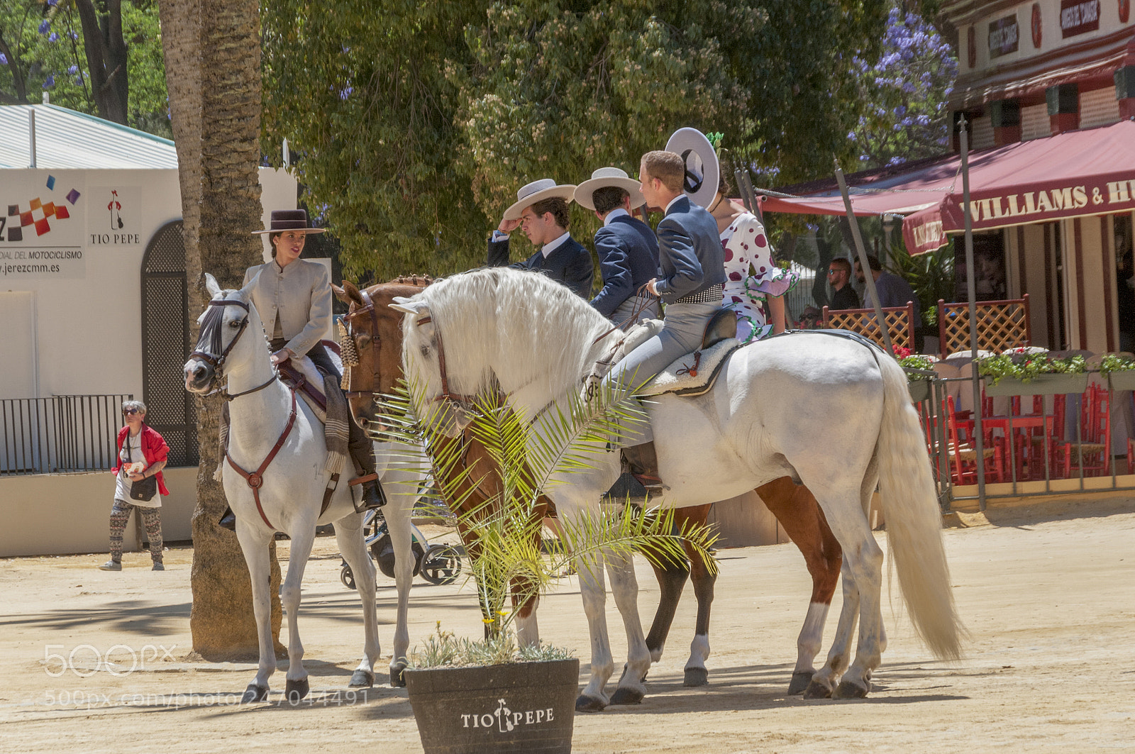 Nikon D300S sample photo. Feria de jerez photography