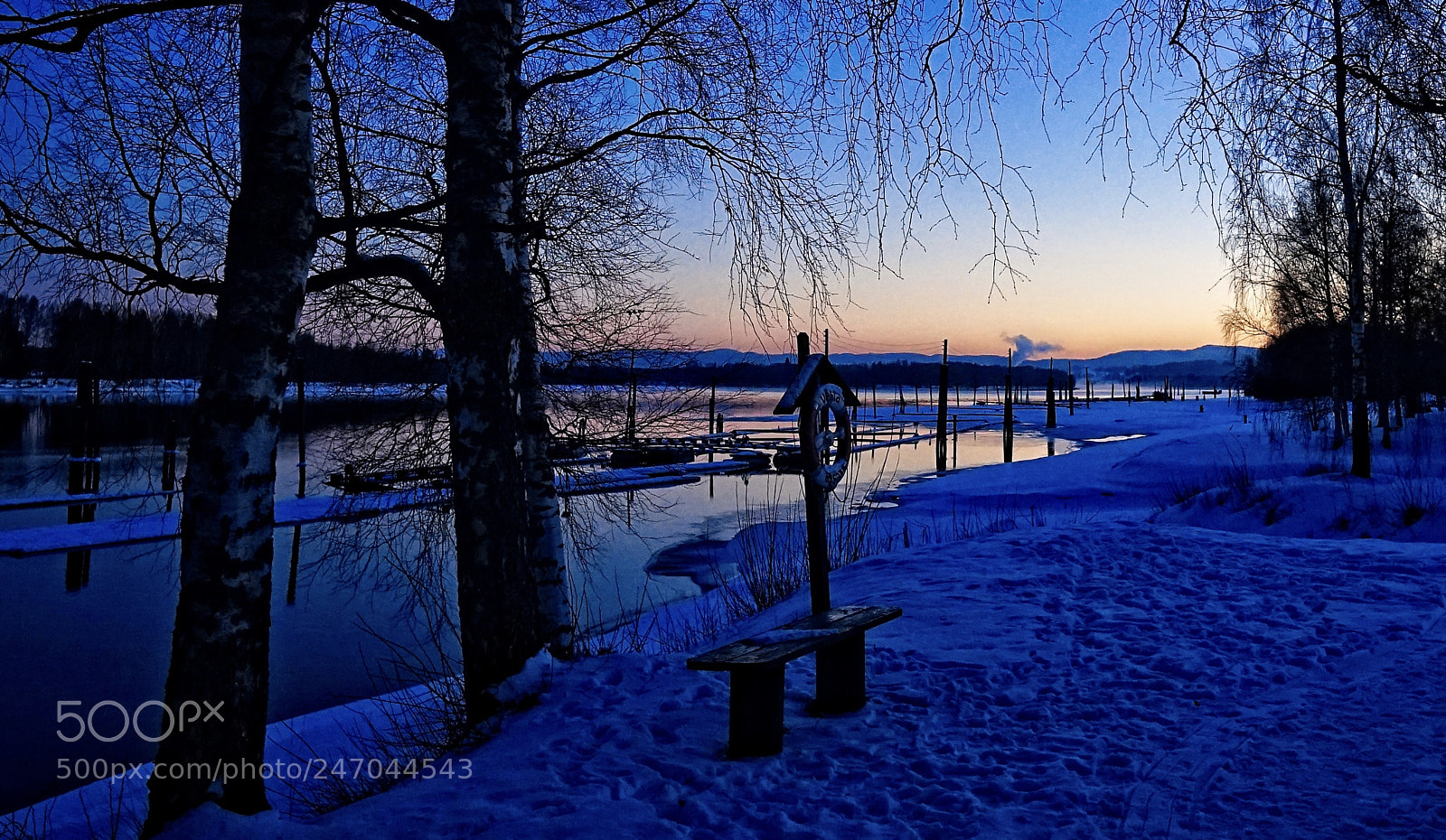 Sony a7 II sample photo. The blue photography