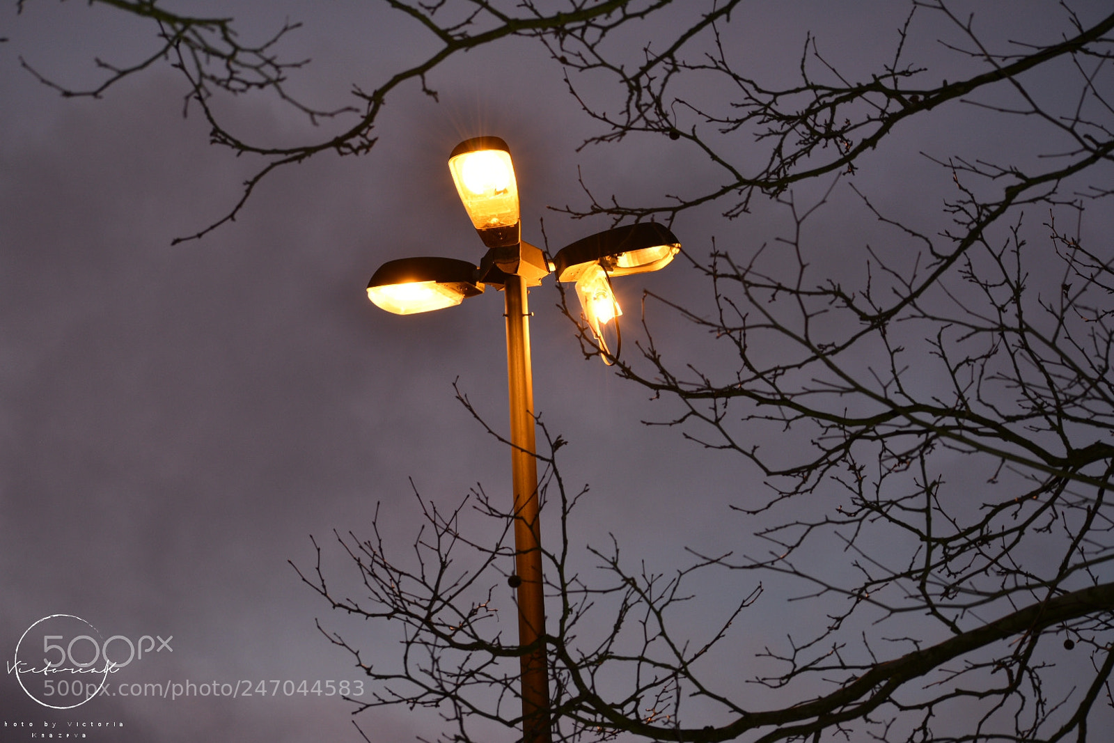 Nikon D3400 sample photo. Untitled photography
