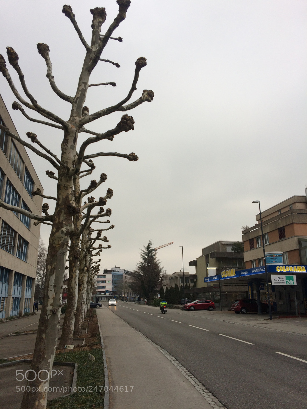 Apple iPhone 5s sample photo. Untitled photography