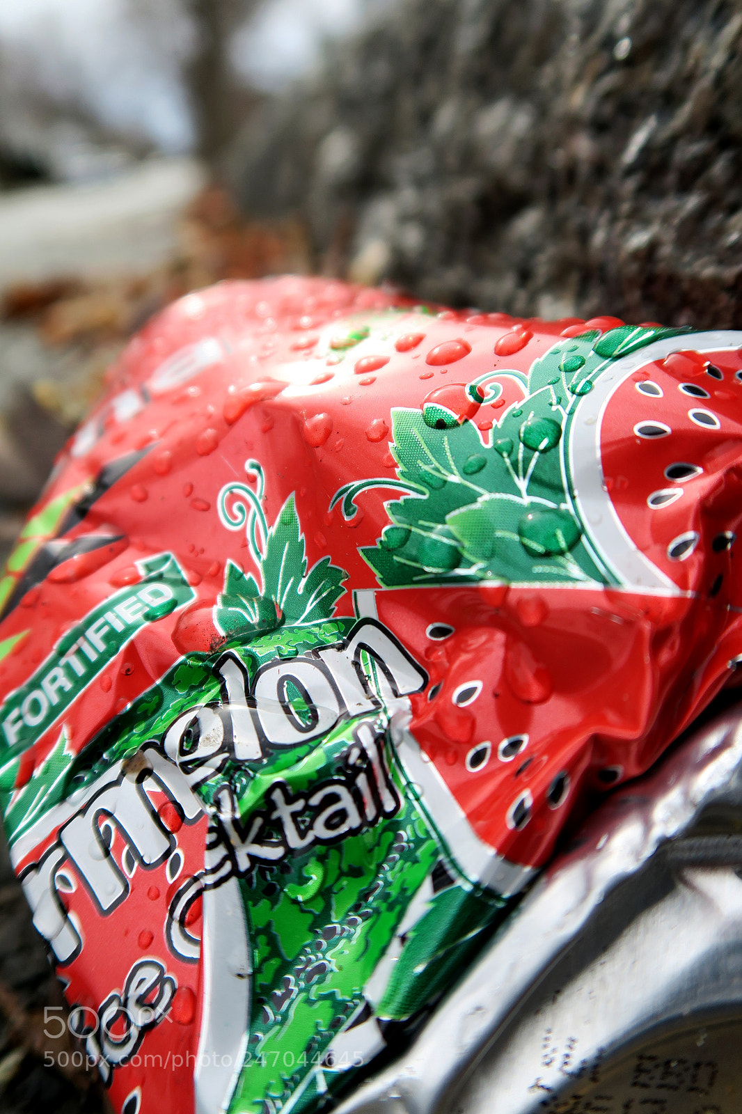 Canon PowerShot G7 X sample photo. Watermelon arizona photography