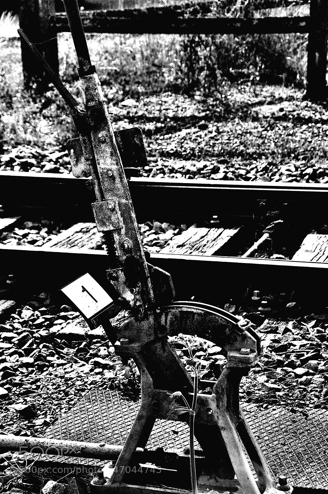 Nikon D90 sample photo. Le dernier voyage... photography
