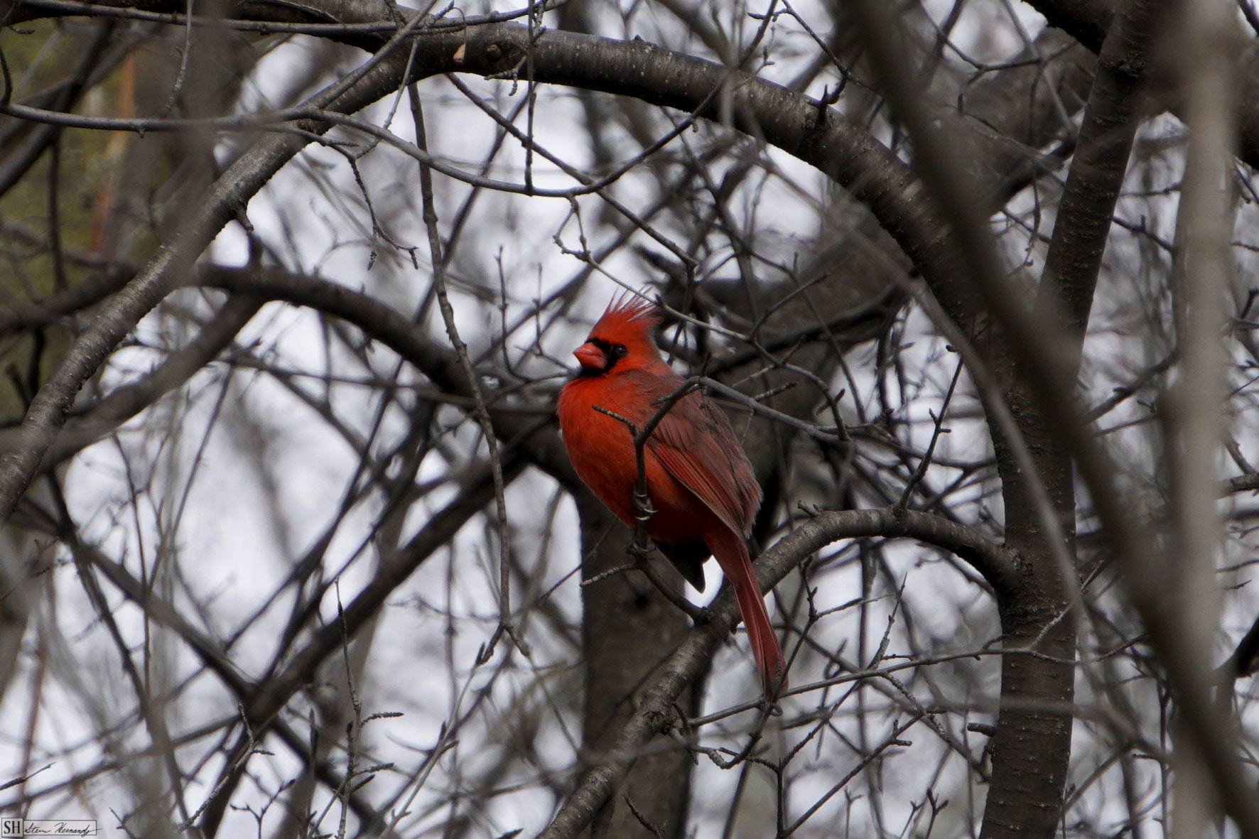 Sony E 55-210mm F4.5-6.3 OSS sample photo. () photography