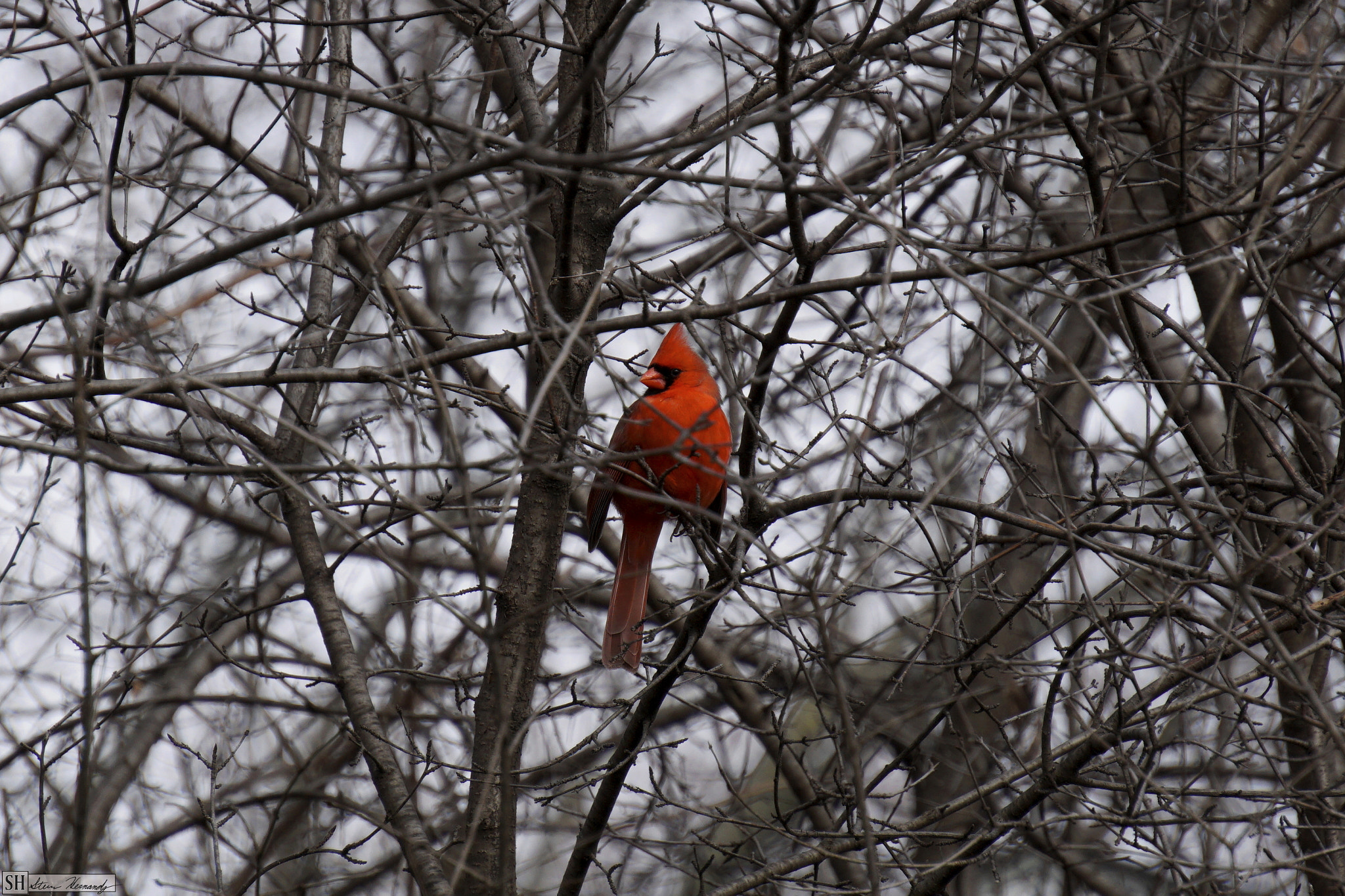 Sony E 55-210mm F4.5-6.3 OSS sample photo. () photography