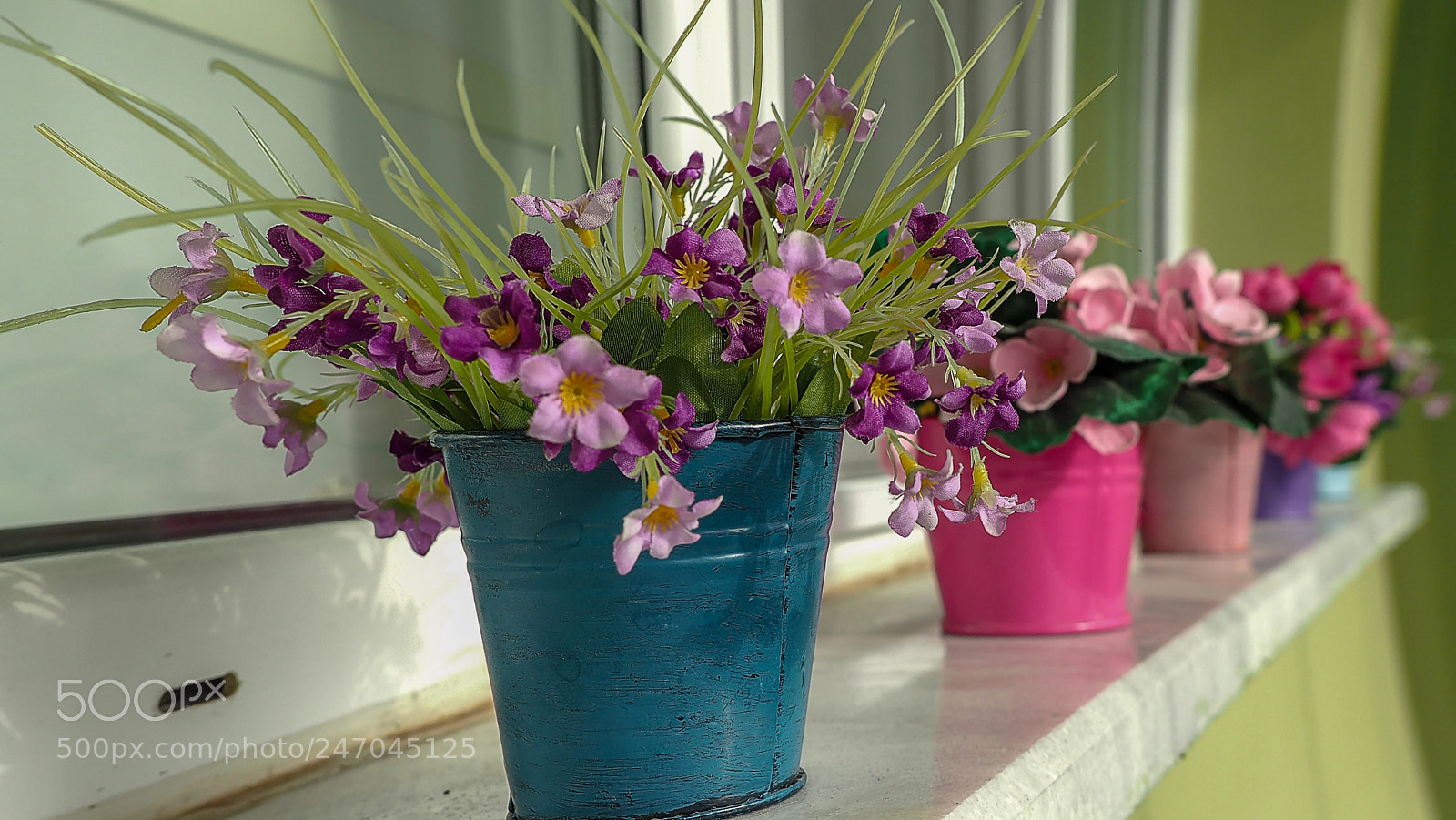Olympus OM-D E-M1 Mark II sample photo. Olympus digital camera photography