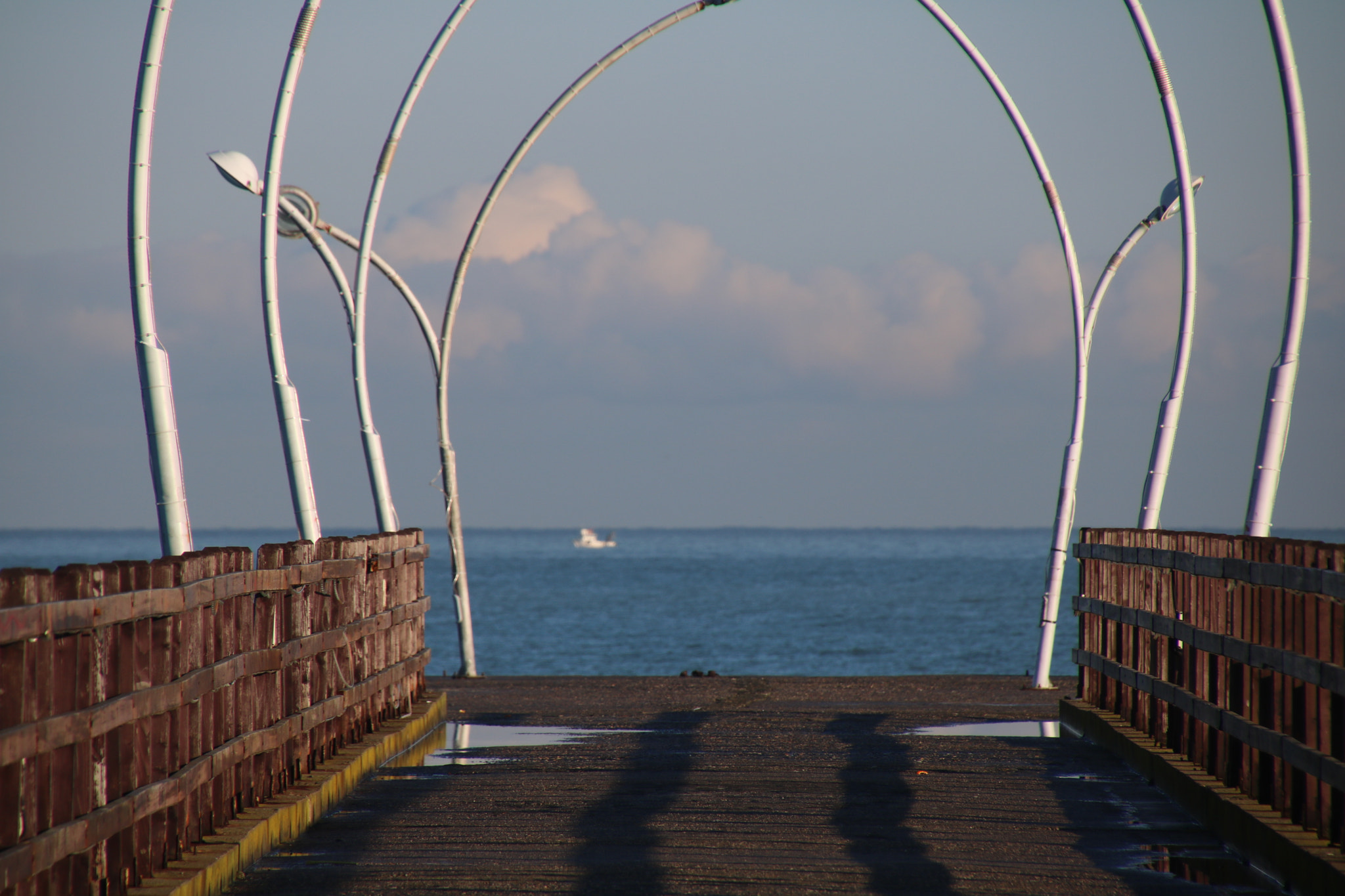 Canon EOS 760D (EOS Rebel T6s / EOS 8000D) sample photo