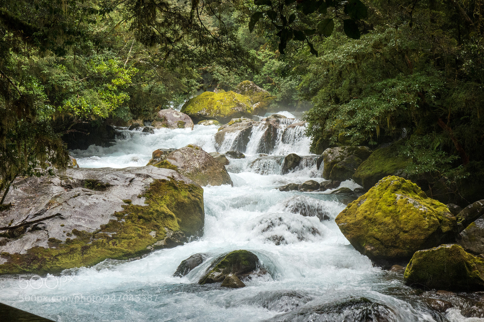Sony Cyber-shot DSC-RX100 sample photo. Fjordland river photography
