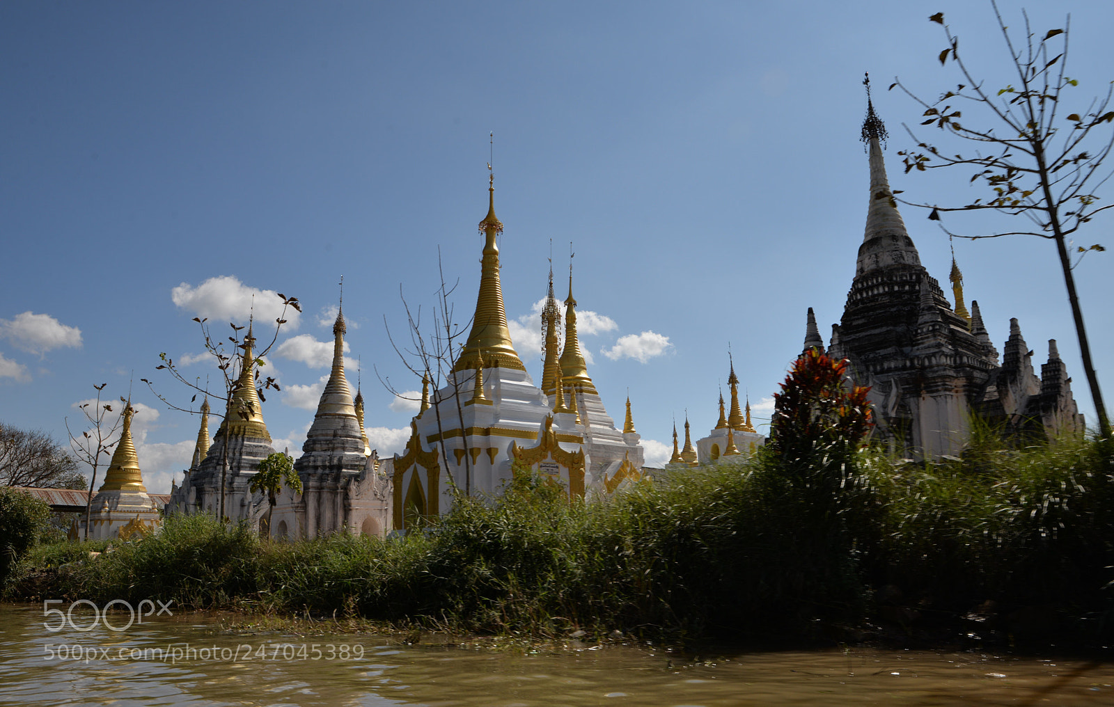 Nikon D610 sample photo. Rive du lac / 6459 photography