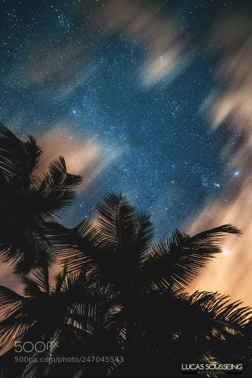 Nikon D800 sample photo. Colorful night photography