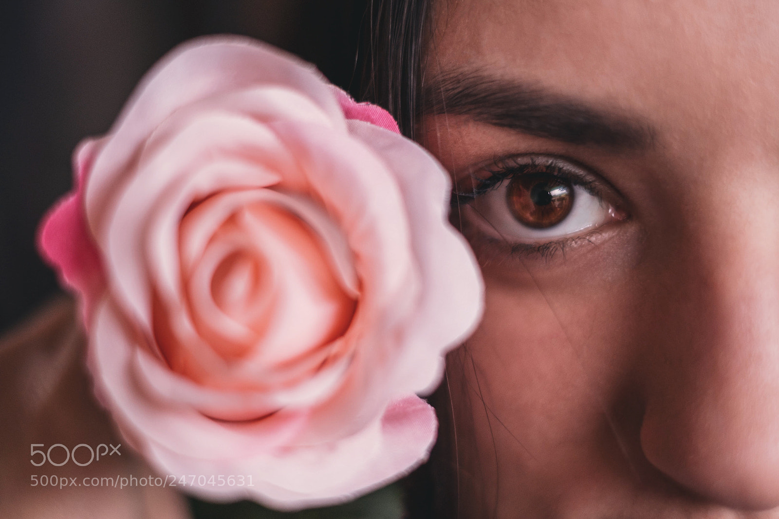Fujifilm X-T20 sample photo. Bloom and glow photography
