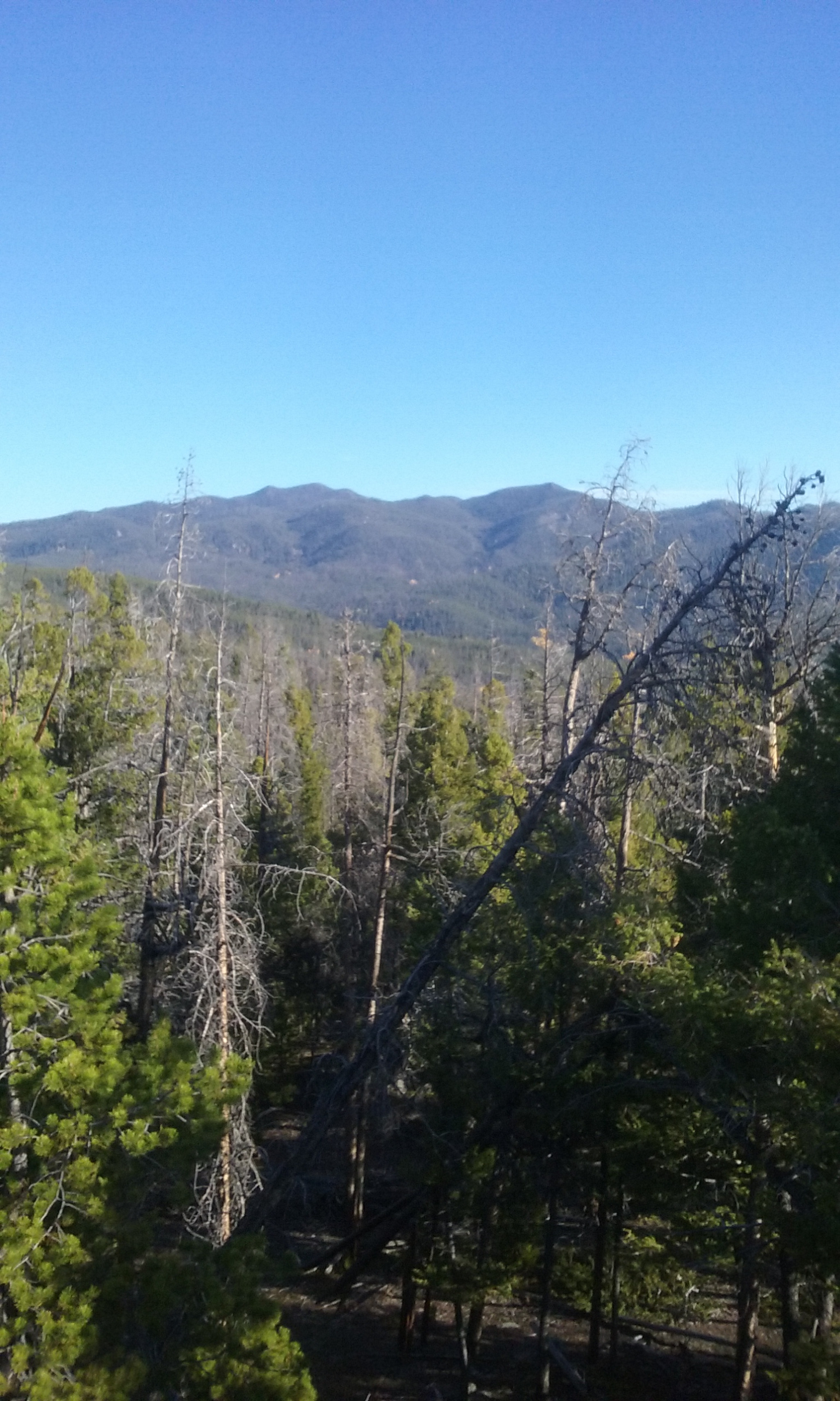 Samsung Galaxy Core Prime sample photo