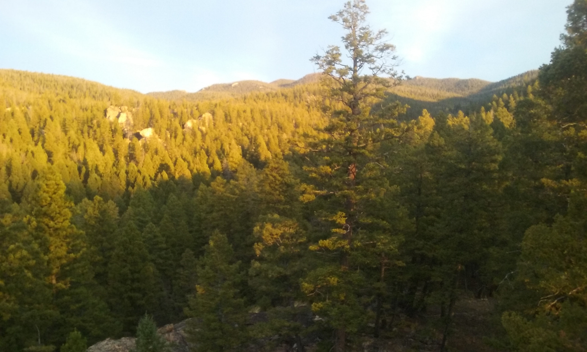 Samsung Galaxy Core Prime sample photo