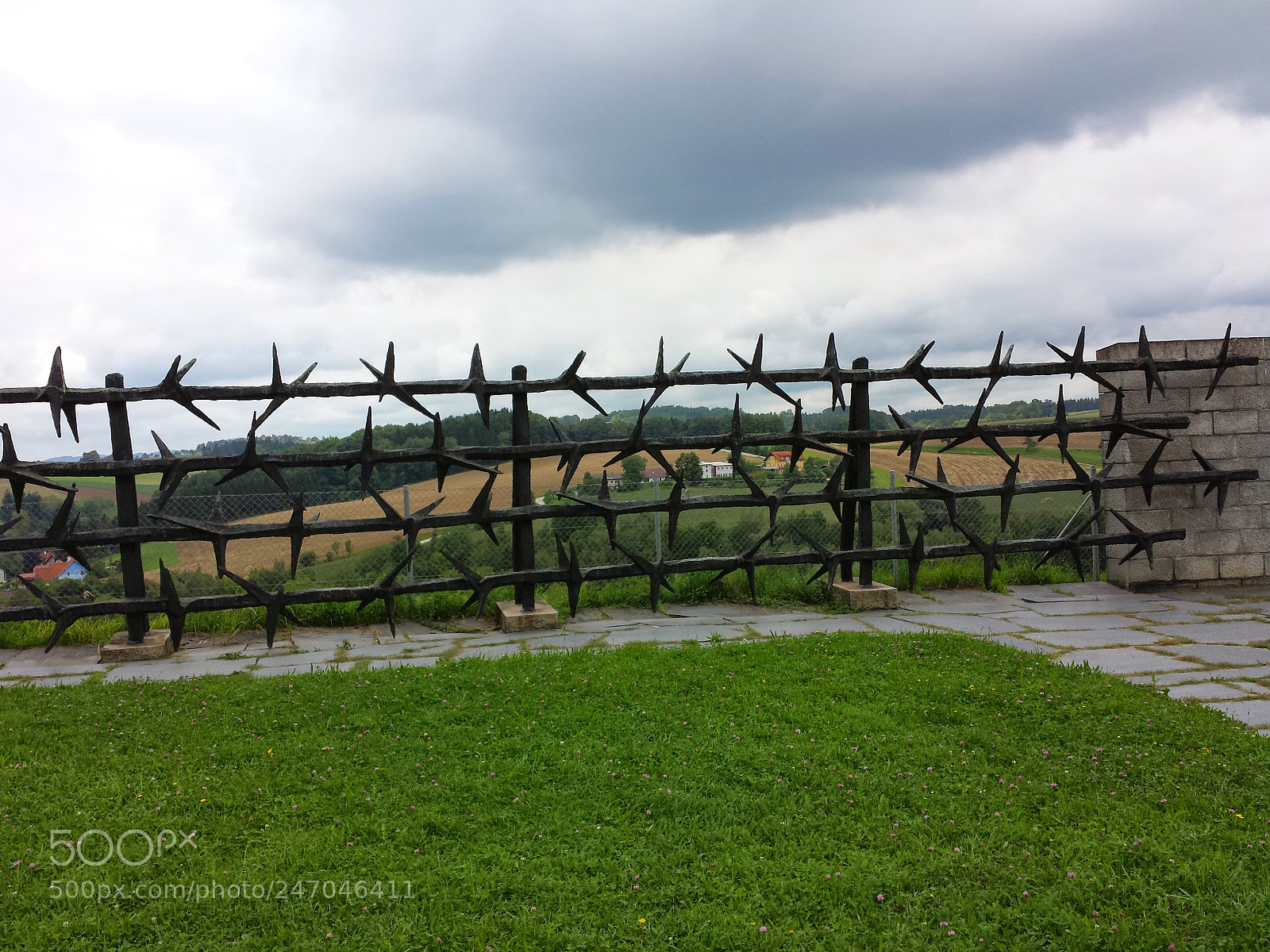 Samsung Galaxy S4 sample photo. Untitled photography