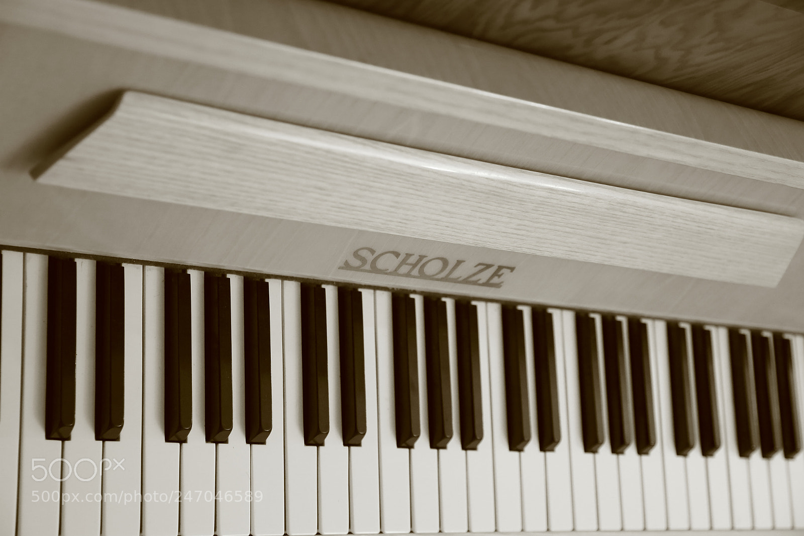 Canon EOS 100D (EOS Rebel SL1 / EOS Kiss X7) sample photo. Music photography