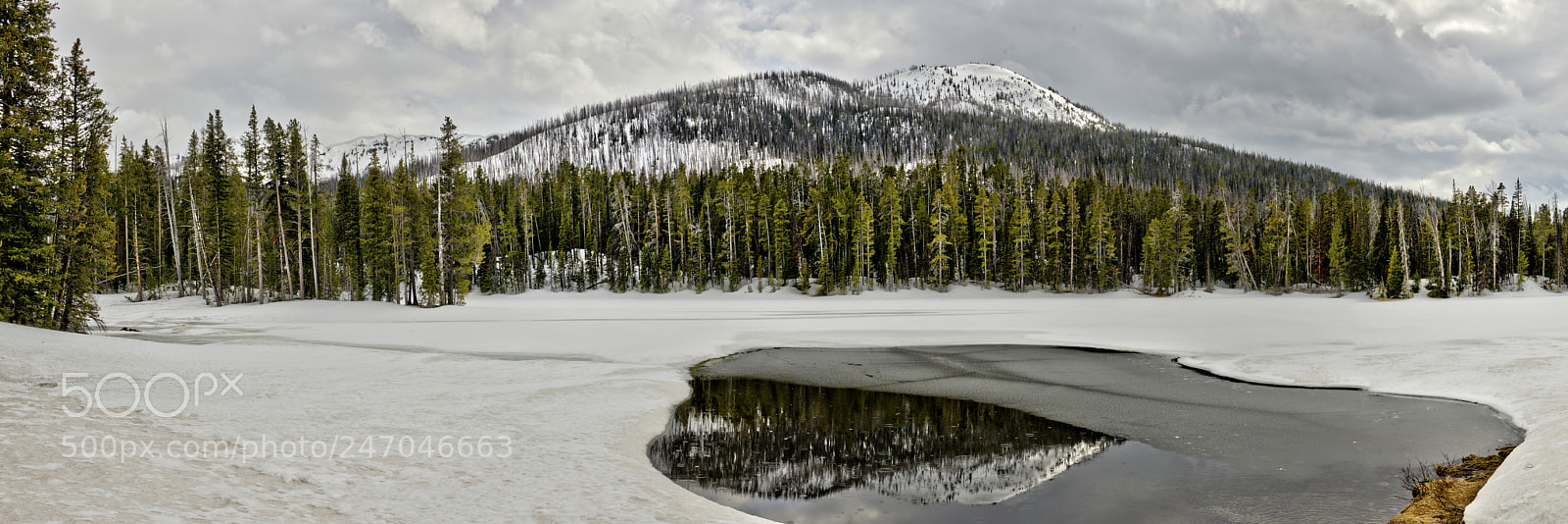 Nikon D800 sample photo. Yellowstone photography