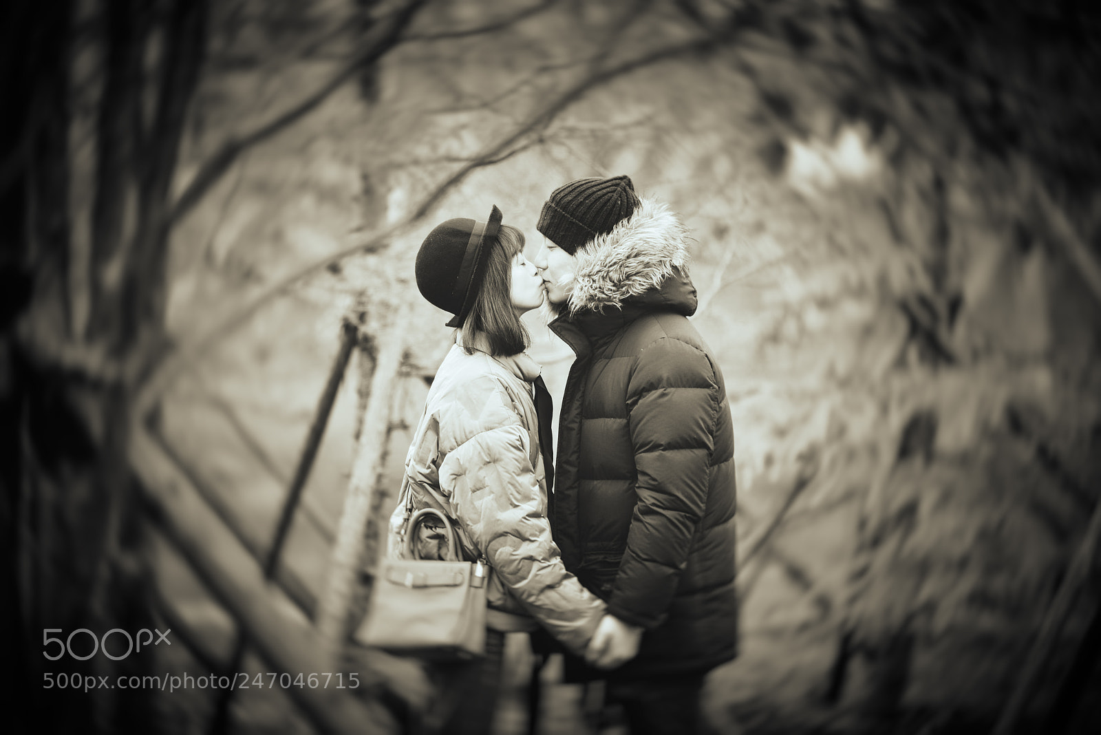Nikon D800 sample photo. Untitled photography