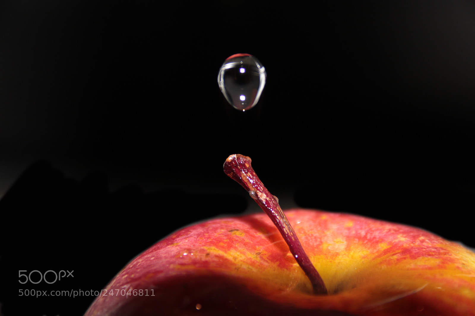 Canon EOS 7D Mark II sample photo. Untitled photography