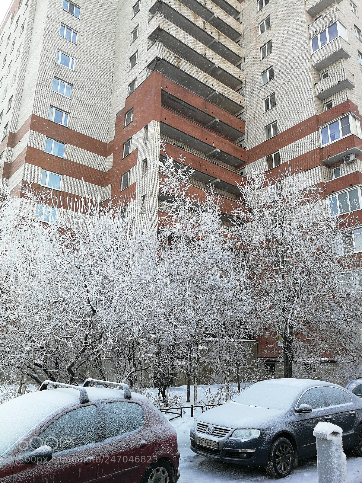 HUAWEI P10 sample photo. Winter photography