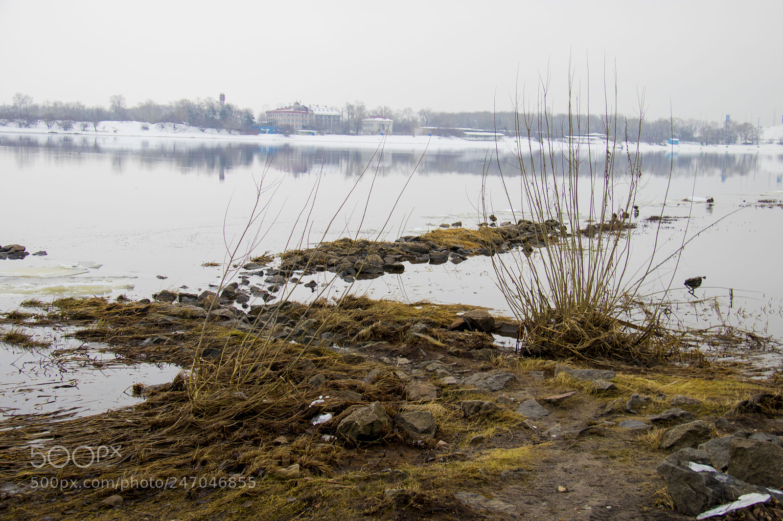 Canon EOS 80D sample photo. Lacustrine shore photography