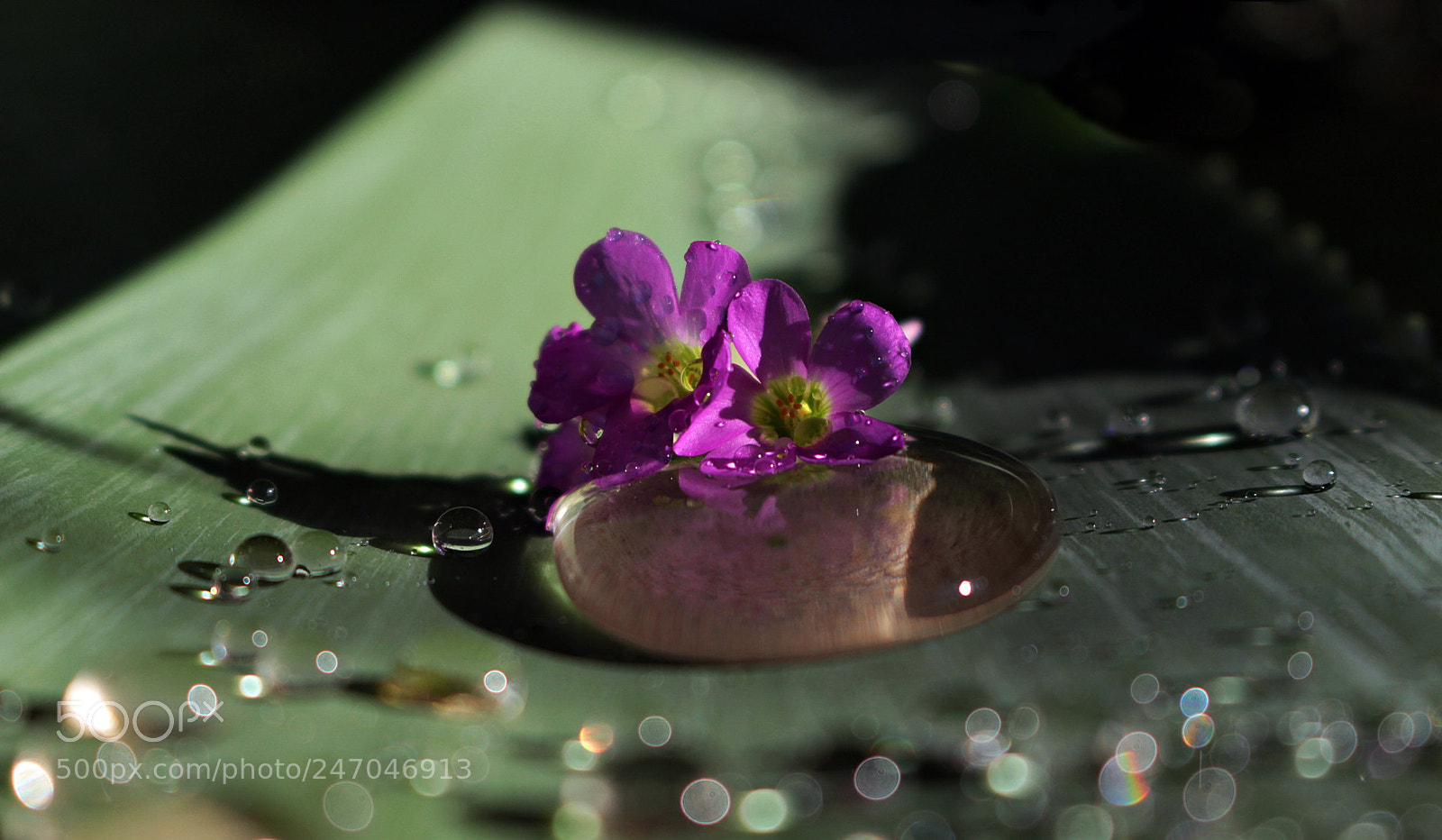 Canon EOS 700D (EOS Rebel T5i / EOS Kiss X7i) sample photo. Toboggan photography
