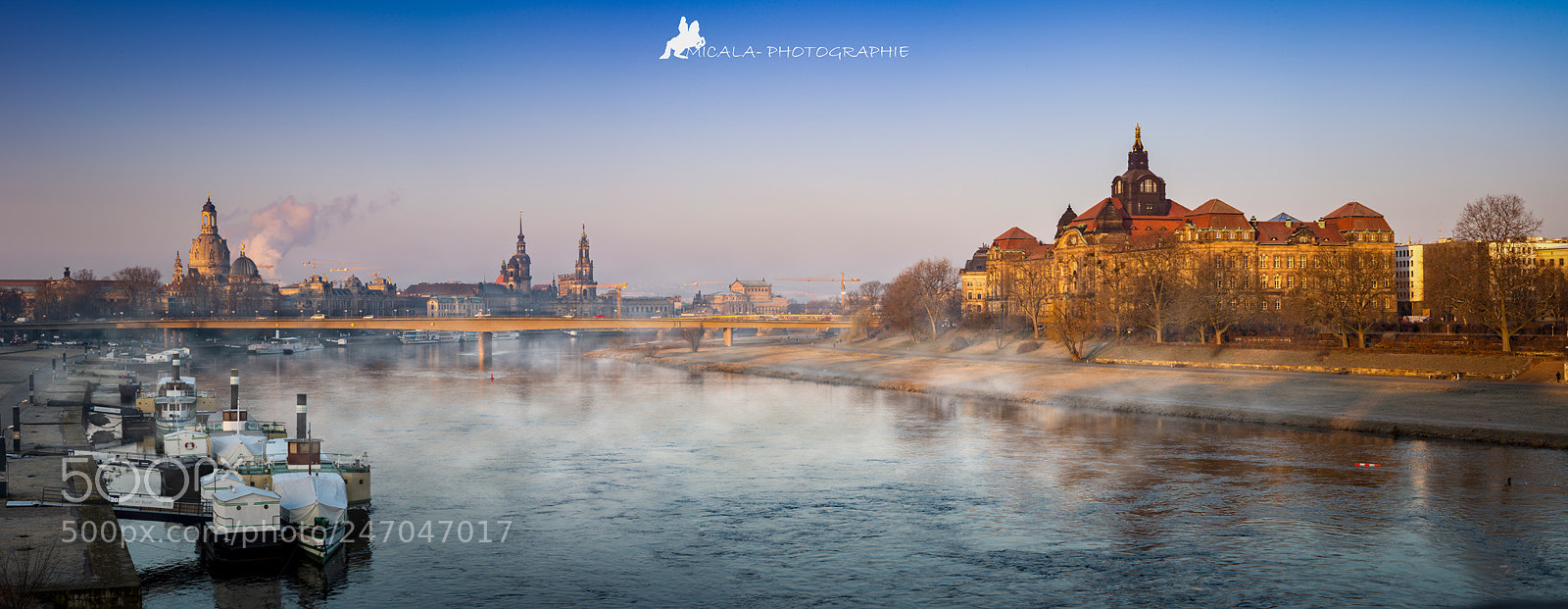 Nikon D600 sample photo. Guten morgen dresden photography